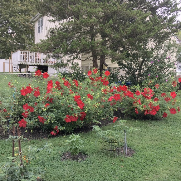 😍See something you must have? - Picture 11 of 16